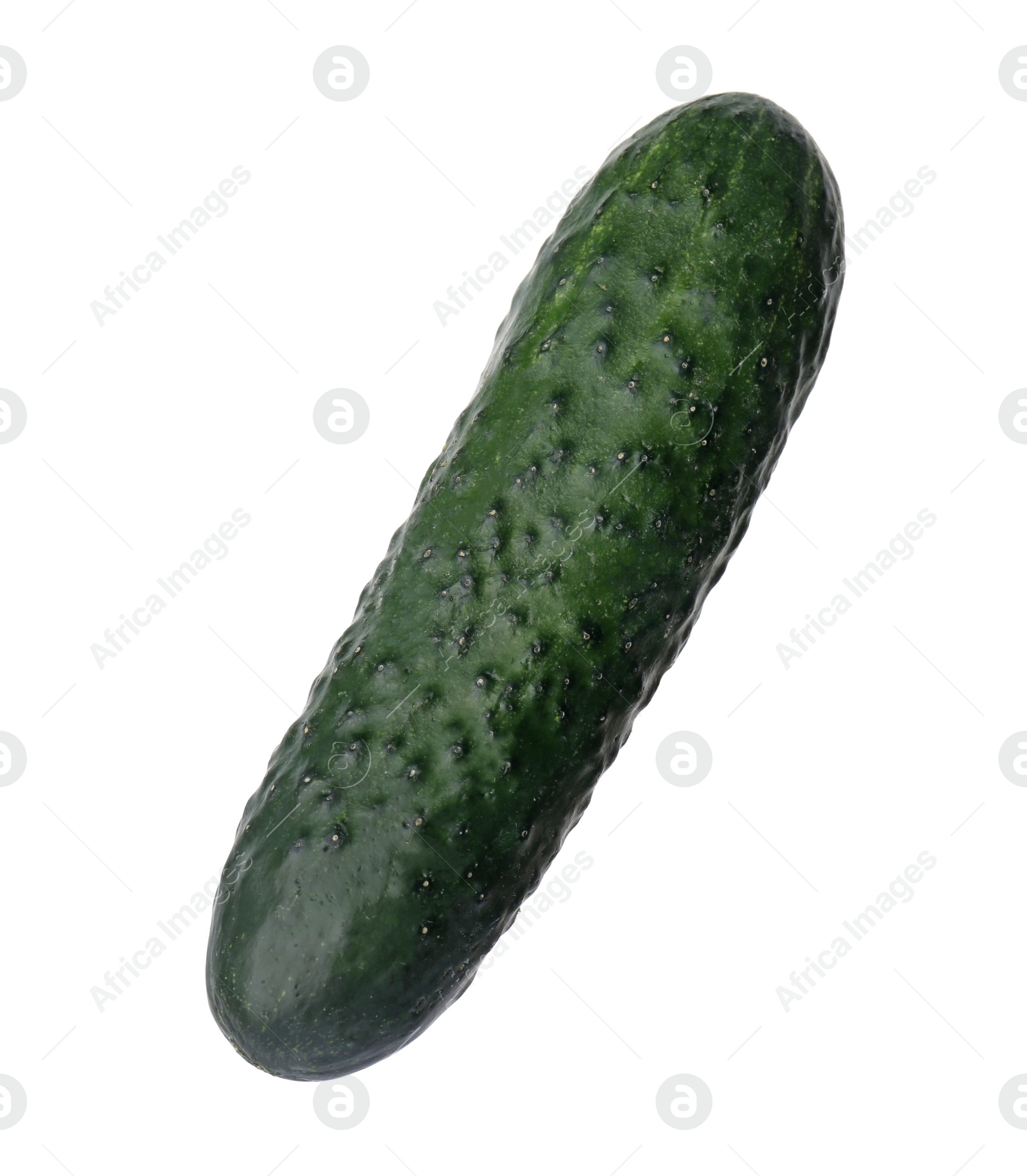 Photo of Fresh ripe green cucumber isolated on white