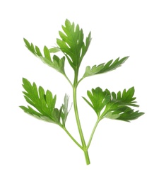 Photo of Leaves of fresh tasty parsley on white background