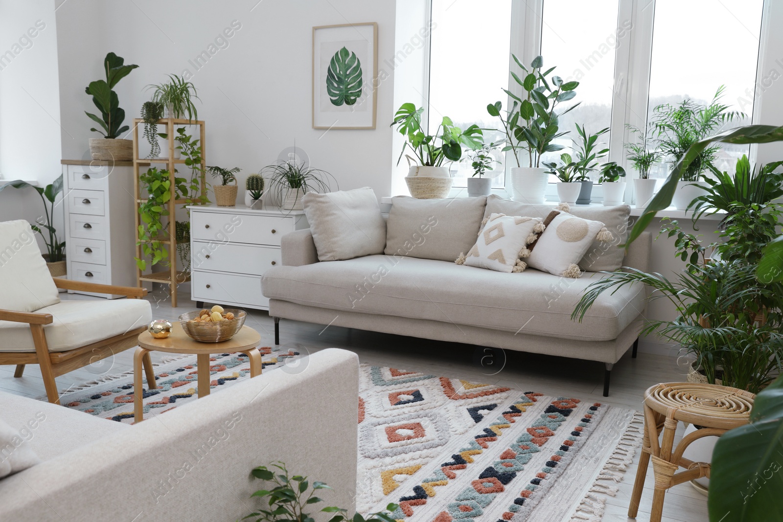 Photo of Stylish room with comfortable sofa, armchair and beautiful houseplants. Interior design