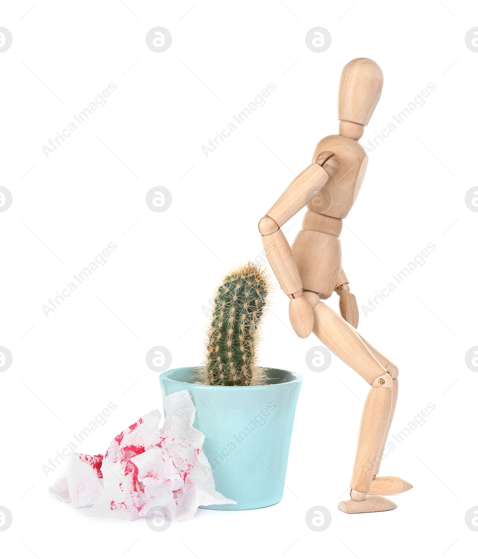 Photo of Wooden human figure, cactus and sheets of toilet paper with blood on white background. Hemorrhoid problems