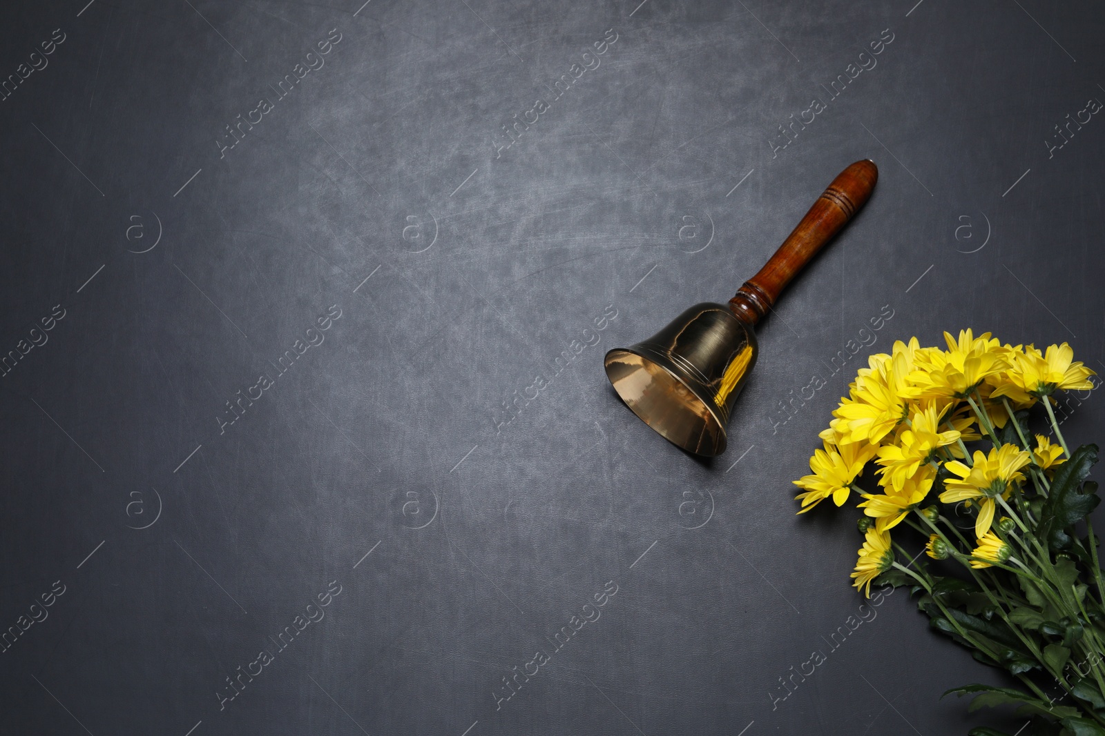 Photo of Golden school bell and bouquet of beautiful chrysanthemum flowers on blackboard, flat lay. Space for text