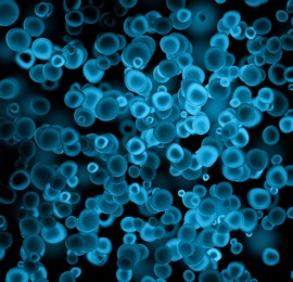 Illustration of Closeup view of bacteria under microscope. Illustration