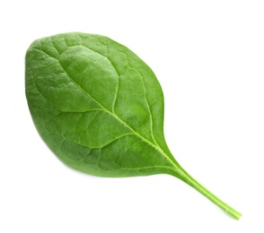 Photo of Fresh green healthy baby spinach leaf isolated on white, top view