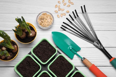 Flat lay composition with pumpkin seeds and gardening tools on white wooden table