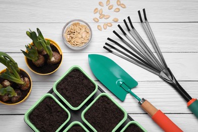 Photo of Flat lay composition with pumpkin seeds and gardening tools on white wooden table