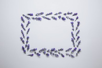 Frame of beautiful aromatic lavender flowers on white background, flat lay. Space for text