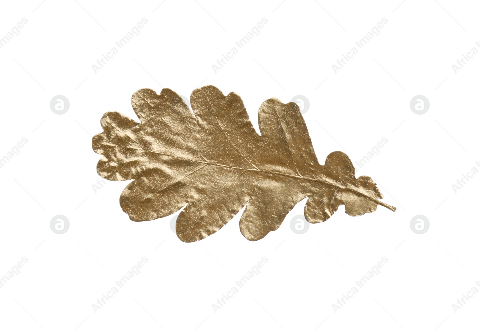 Photo of One golden oak leaf isolated on white. Autumn season