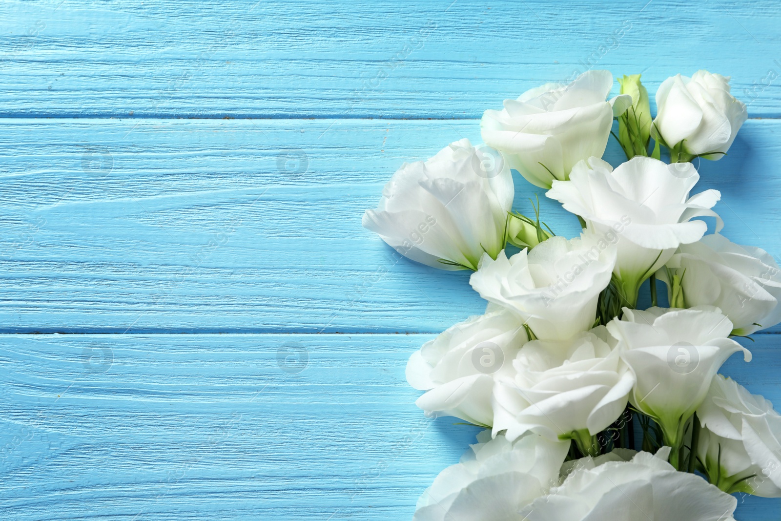 Photo of Flat lay composition with beautiful Eustoma flowers on wooden background