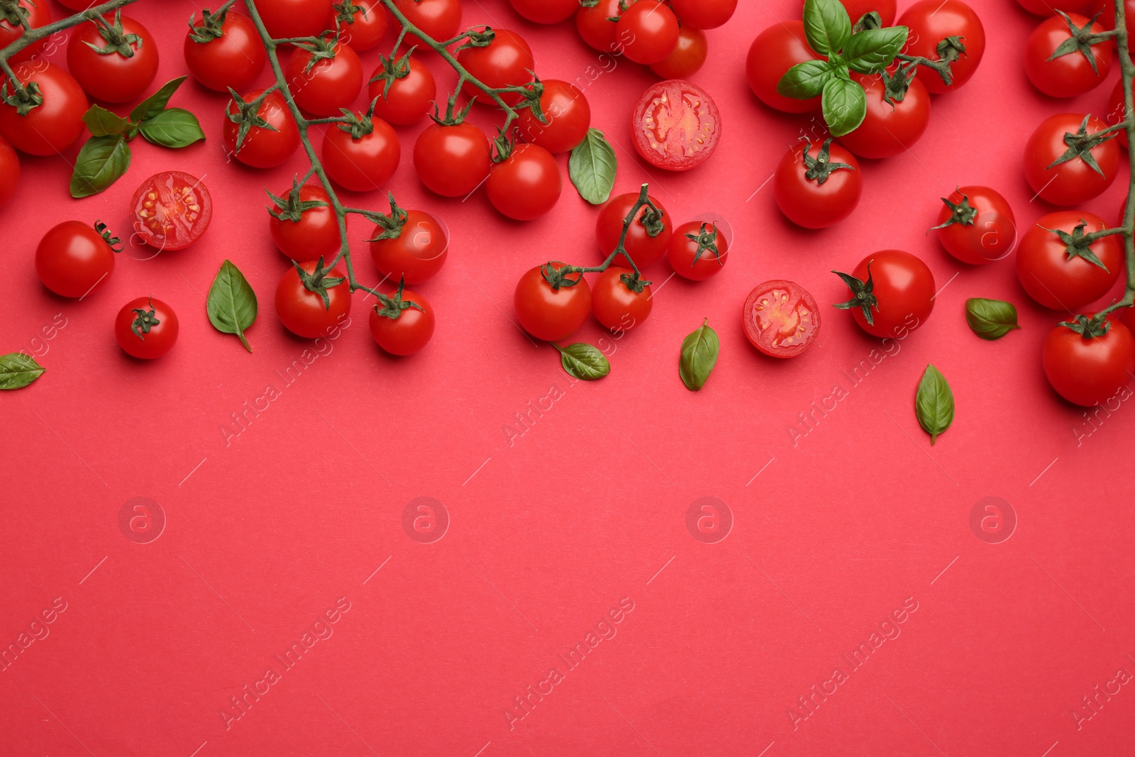 Photo of Fresh cherry tomatoes and basil leaves on red background, flat lay. Space for text