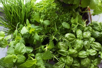 Photo of Different aromatic herbs as background, top view