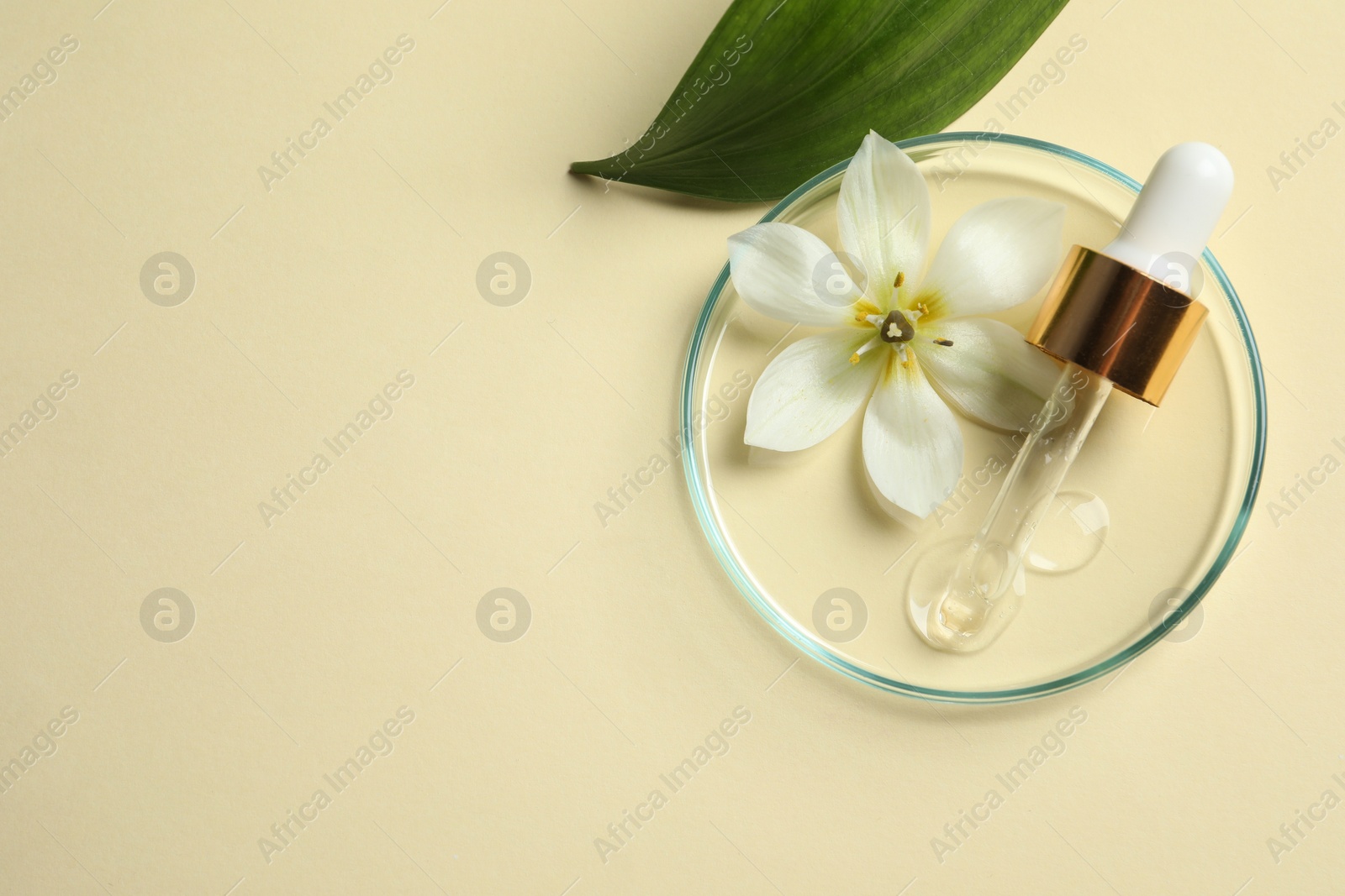 Photo of Petri dish with sample of cosmetic oil, pipette, beautiful flower and leaf on beige background, flat lay. Space for text