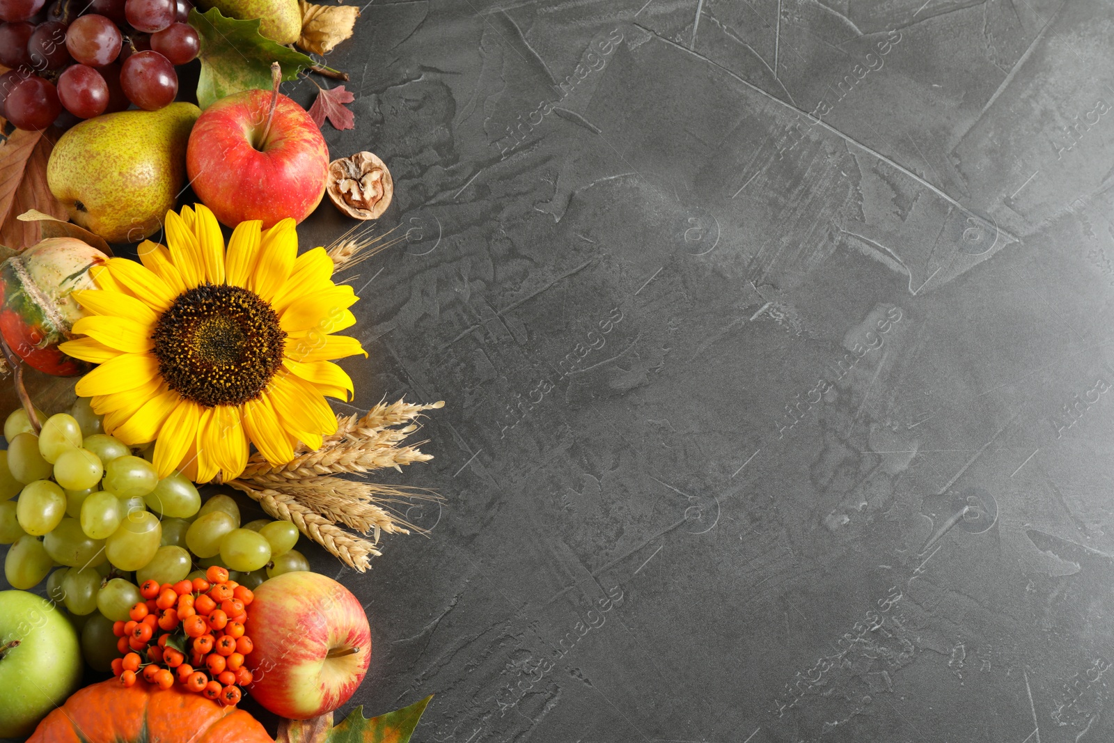 Photo of Autumn fruits and vegetables on grey background, flat lay with space for text. Happy Thanksgiving day