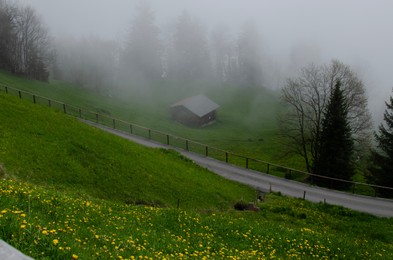 Photo of Picturesque view of valley with plants and trees covered by fog in mountains