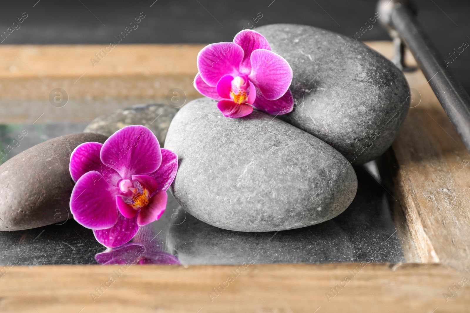 Photo of Composition with orchid flowers and spa stones on tray