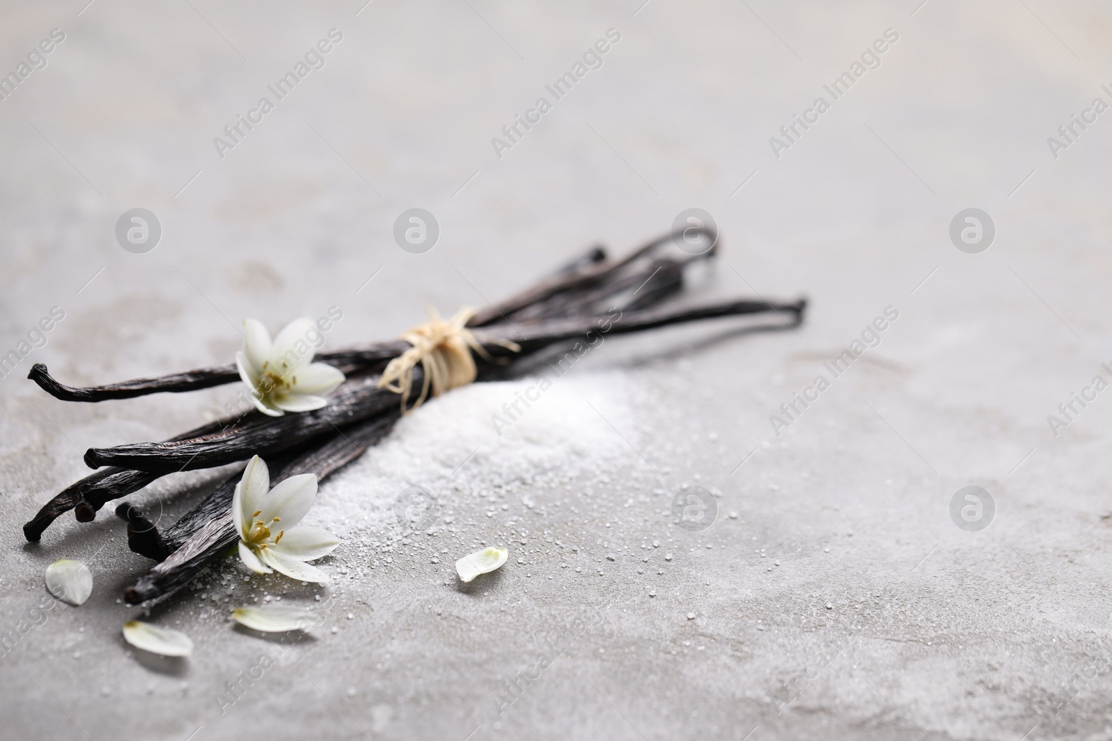 Photo of Vanilla pods, sugar, flowers and petals on gray textured table, closeup. Space for text