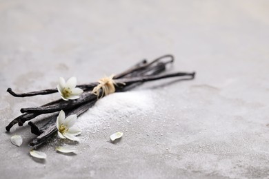 Vanilla pods, sugar, flowers and petals on gray textured table, closeup. Space for text