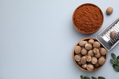 Flat lay composition with nutmegs on white background. Space for text