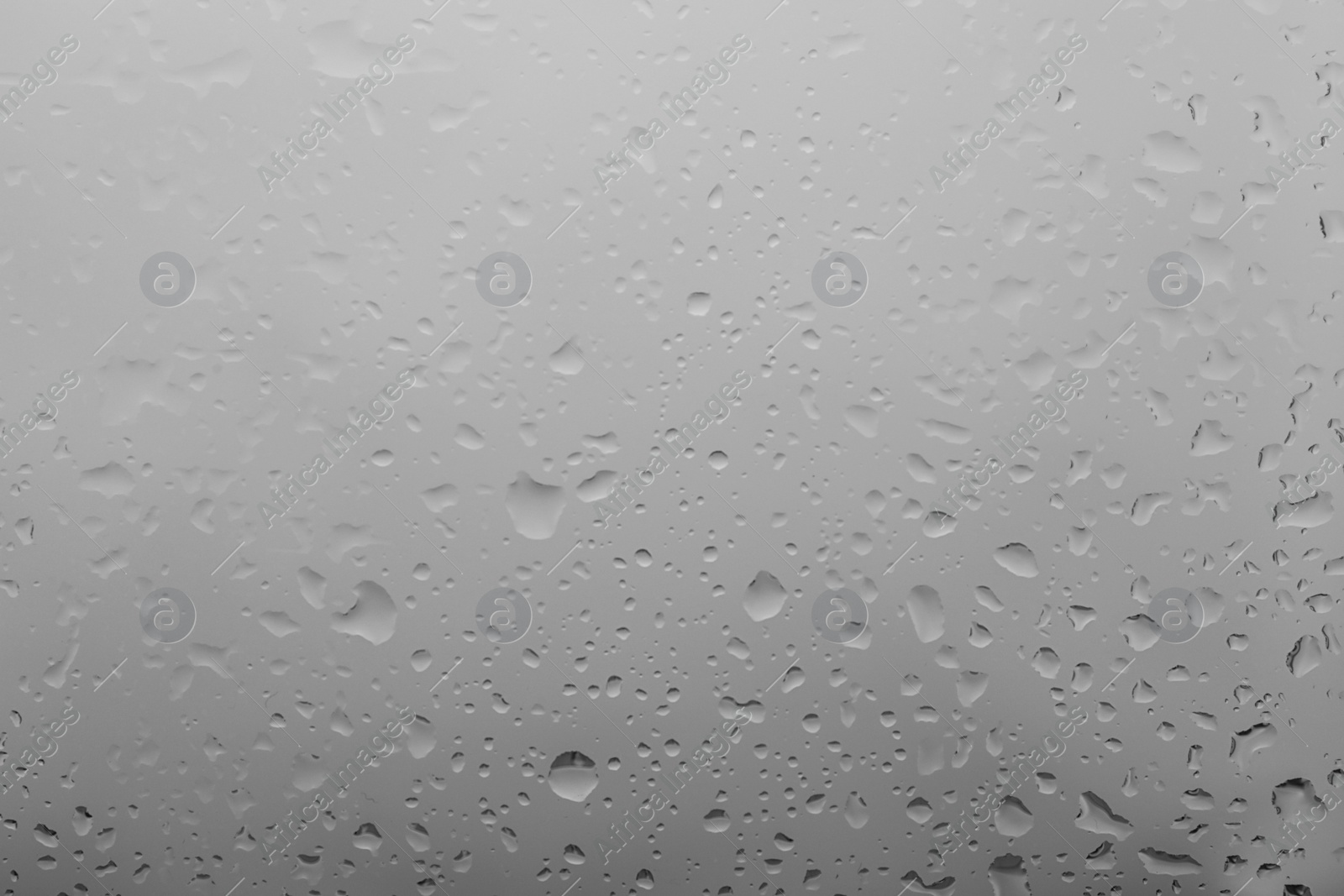 Photo of Water drops on light background, closeup view