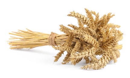 Bunch of dried wheat isolated on white