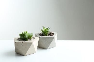 Succulent plants in concrete pots on white table. Space for text