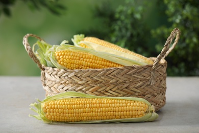 Ripe raw corn cobs in wicker basket on grey table against blurred background