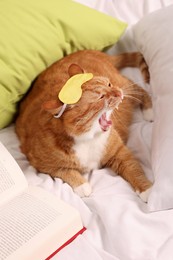 Cute ginger cat with sleep mask and book yawning on bed