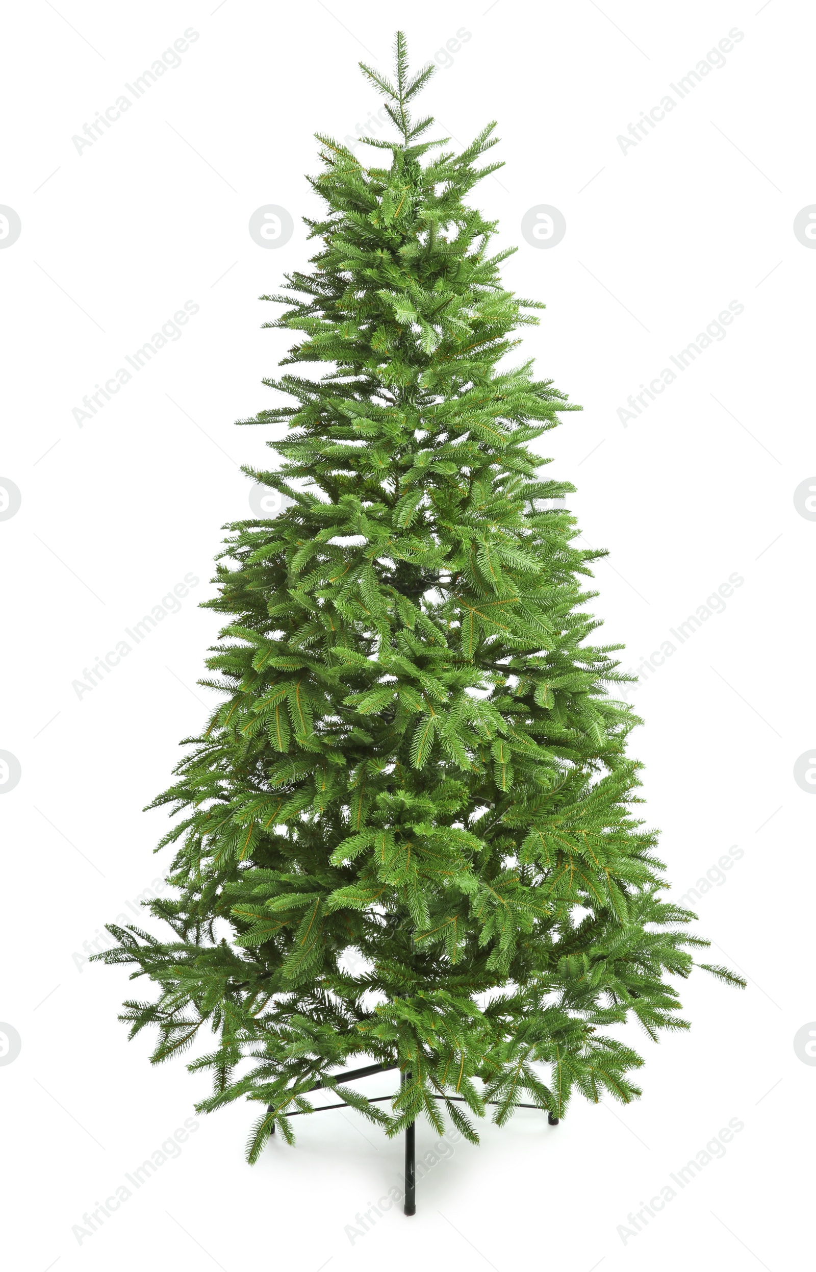 Photo of Green Christmas tree on white background