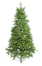 Photo of Green Christmas tree on white background