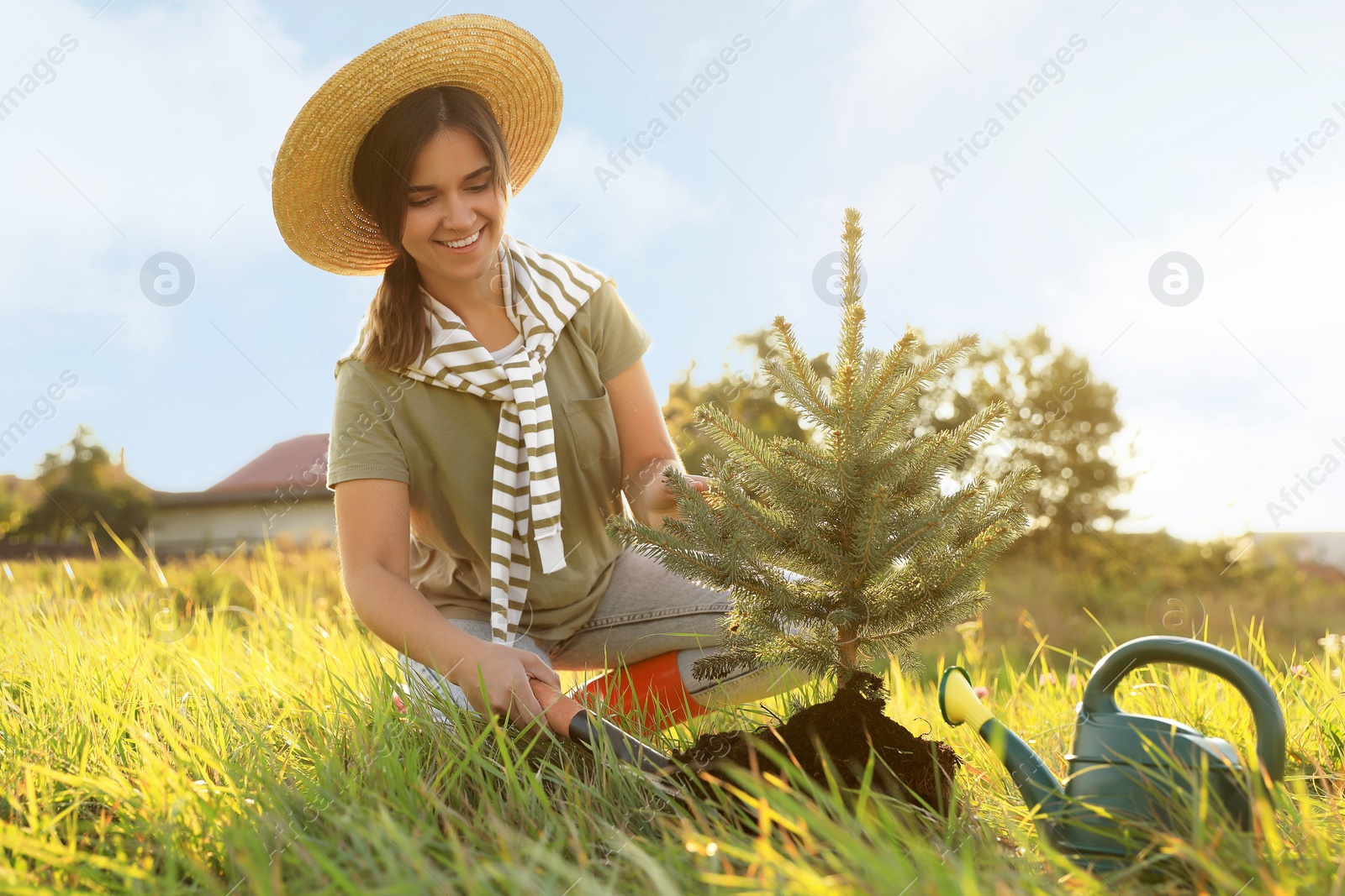 Photo of Young woman planting conifer tree in countryside on sunny day