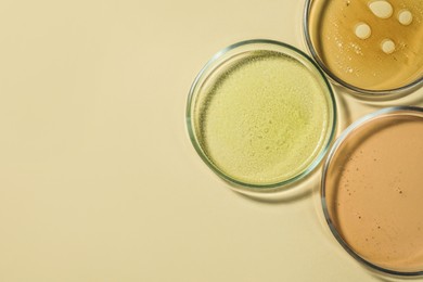 Photo of Petri dishes with color liquids on beige background, flat lay. Space for text