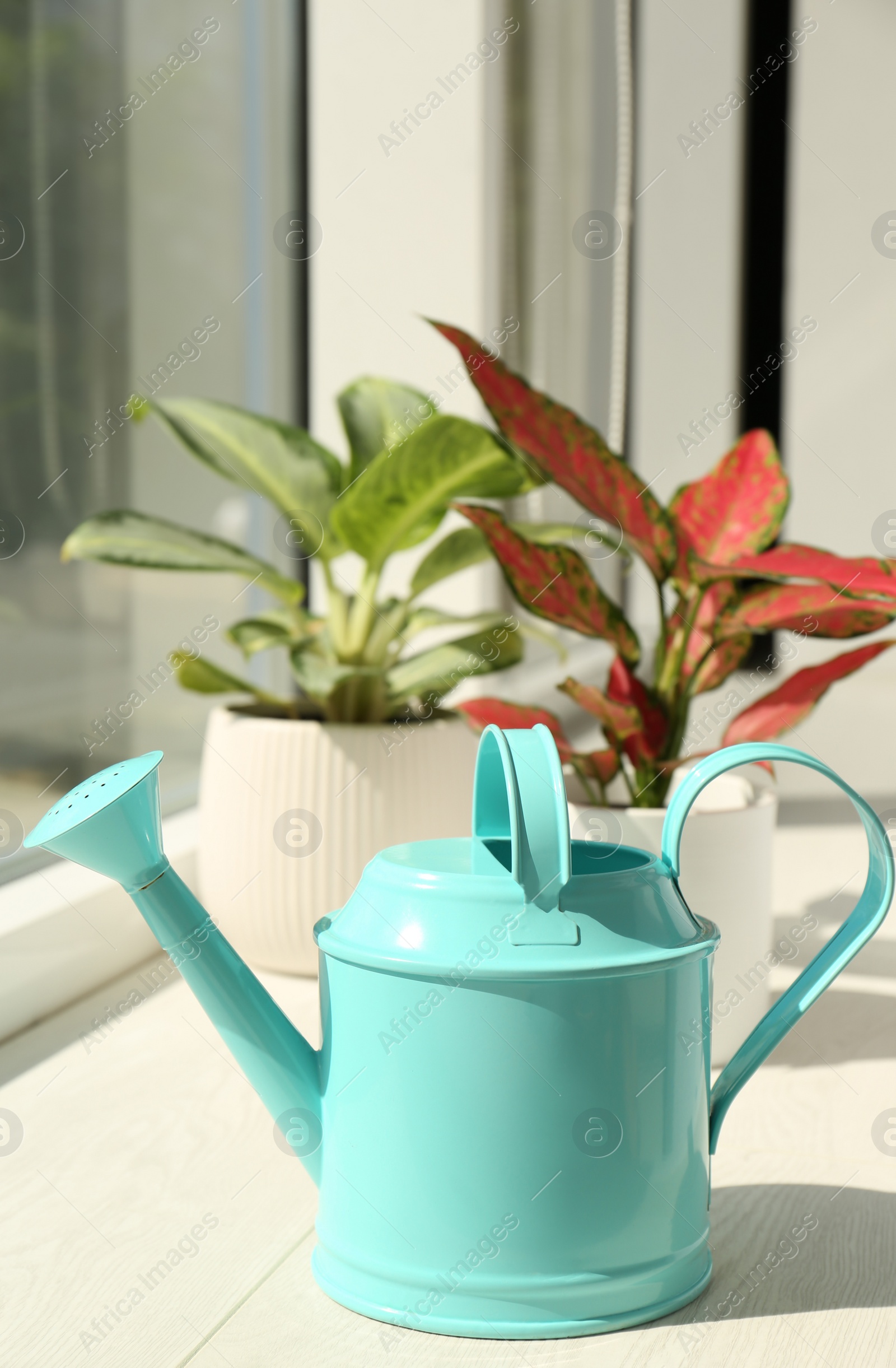 Photo of Different houseplants and watering pot on white window sill in room