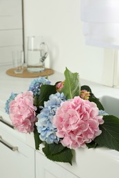 Photo of Beautiful light blue and pink hortensia flowers in kitchen sink