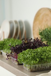Photo of Different fresh microgreens in plastic containers on countertop in kitchen