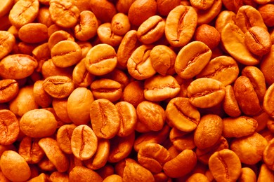 Many coffee beans as background, top view. Toned in orange color