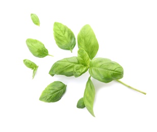 Photo of Fresh green basil leaves on white background, top view