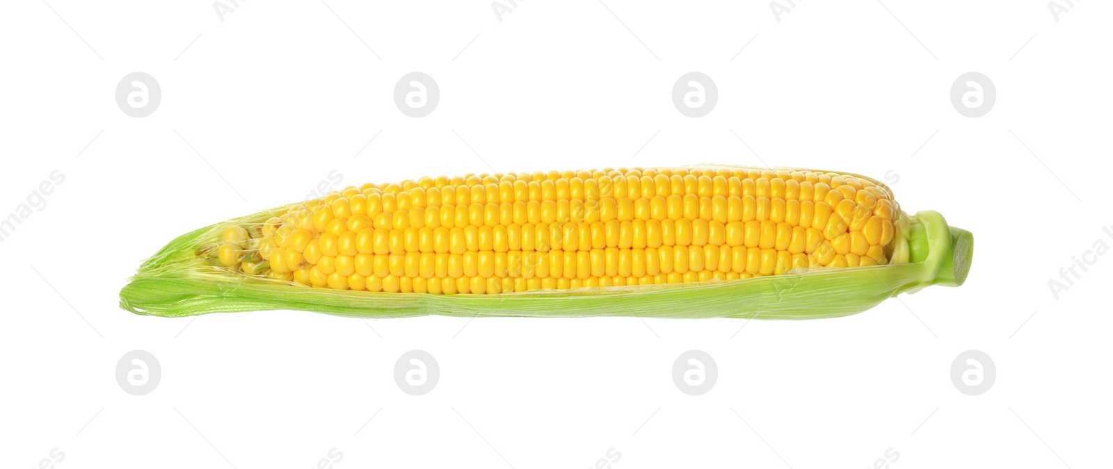 Photo of Ripe raw corn cob with husk isolated on white