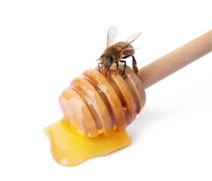 Photo of Wooden dipper with honey and bee on white background