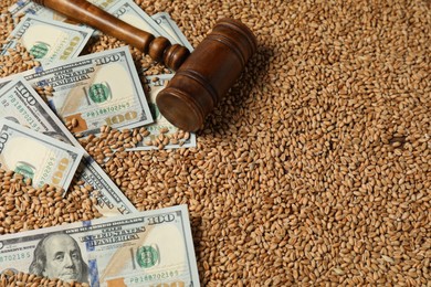 Photo of Dollar banknotes and wooden gavel on wheat grains. Agricultural business