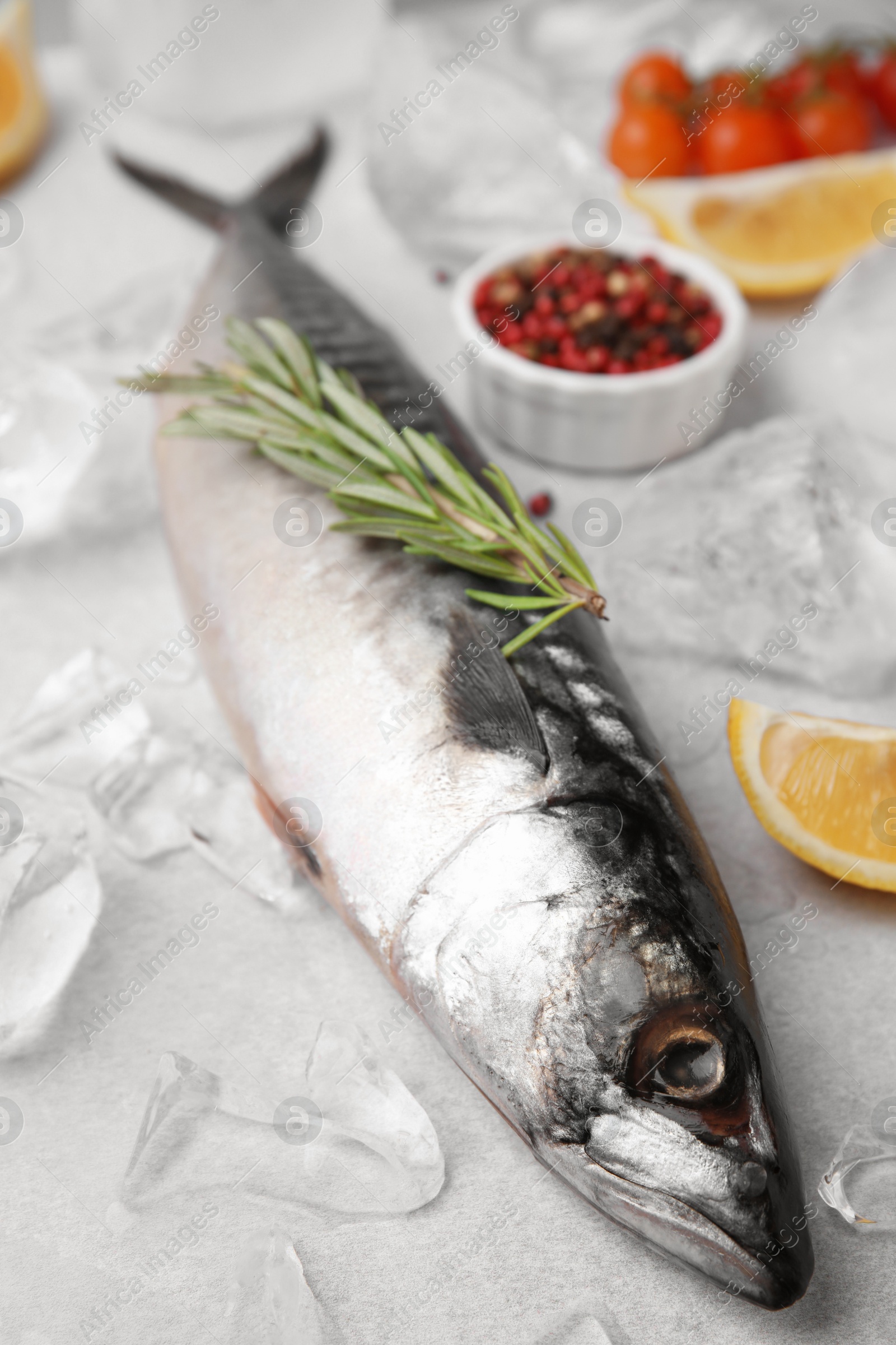 Photo of Raw mackerel, rosemary and ice on light gray table
