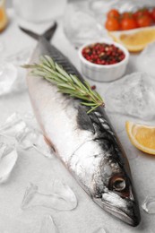 Raw mackerel, rosemary and ice on light gray table