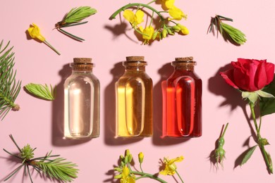 Photo of Aromatherapy. Different essential oils, fir twigs and flowers on pink background, flat lay