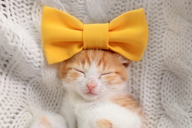 Photo of Cute little kitten with bow sleeping on white knitted blanket, top view