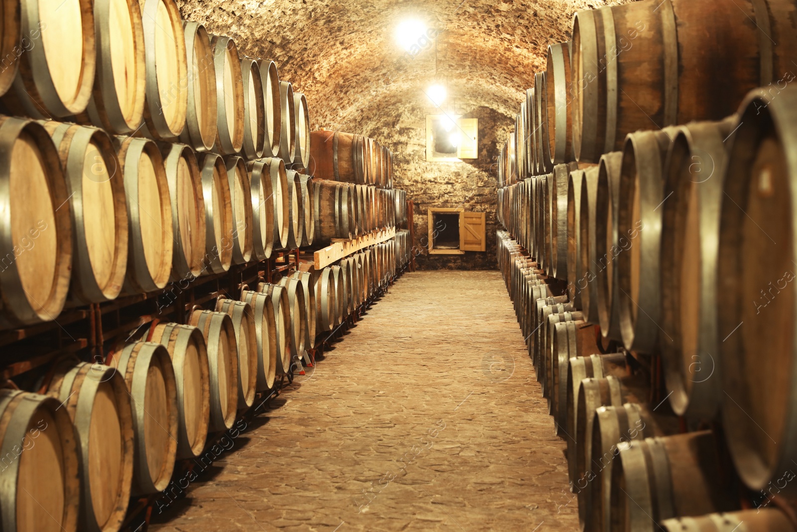 Photo of Wine cellar interior with large wooden barrels