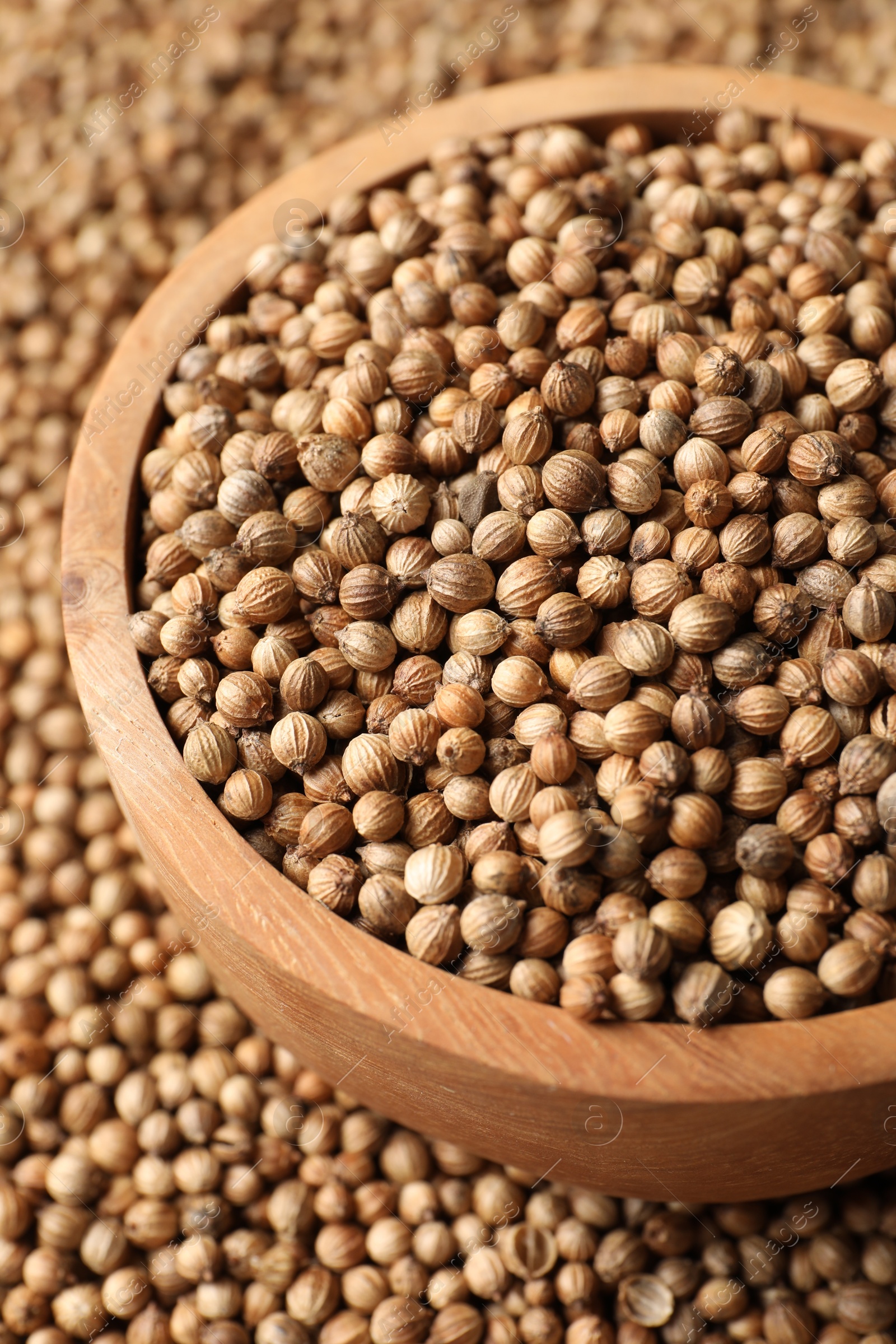 Photo of Dried coriander seeds in bowl, closeup view