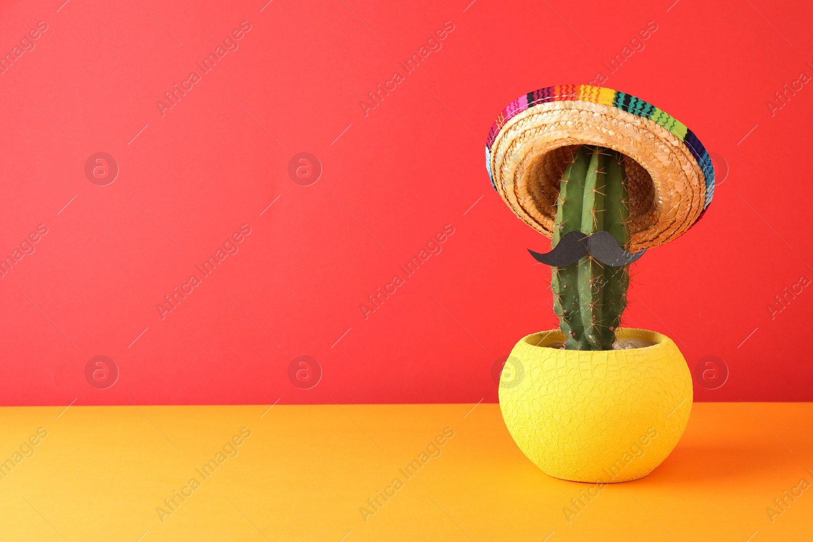 Photo of Cactus with Mexican sombrero hat and fake mustache on color background. Space for text