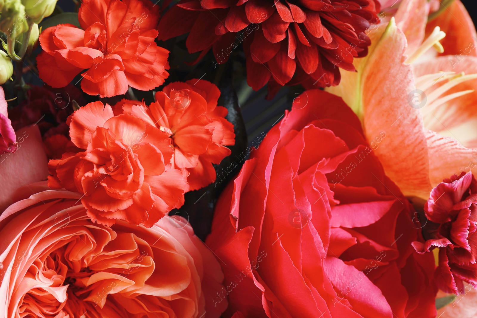 Photo of Beautiful fresh bouquet as background, closeup. Floral decor