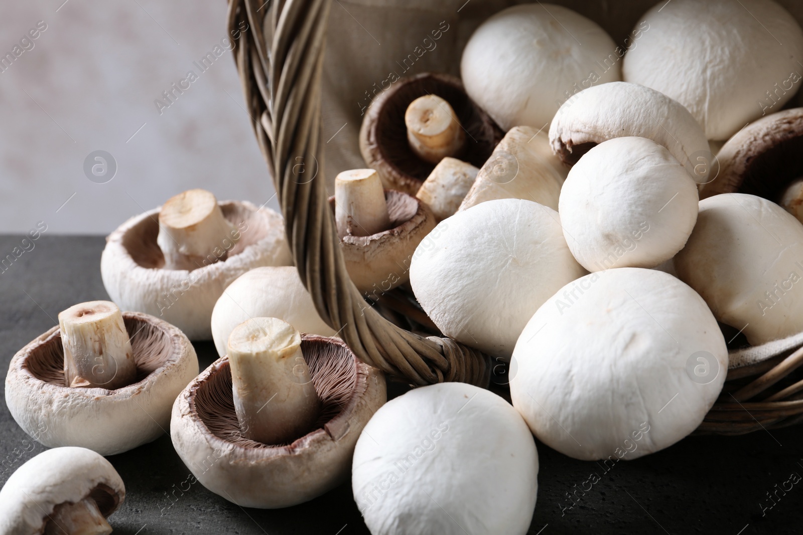 Photo of Fresh champignon mushrooms scattered from basket on table, closeup
