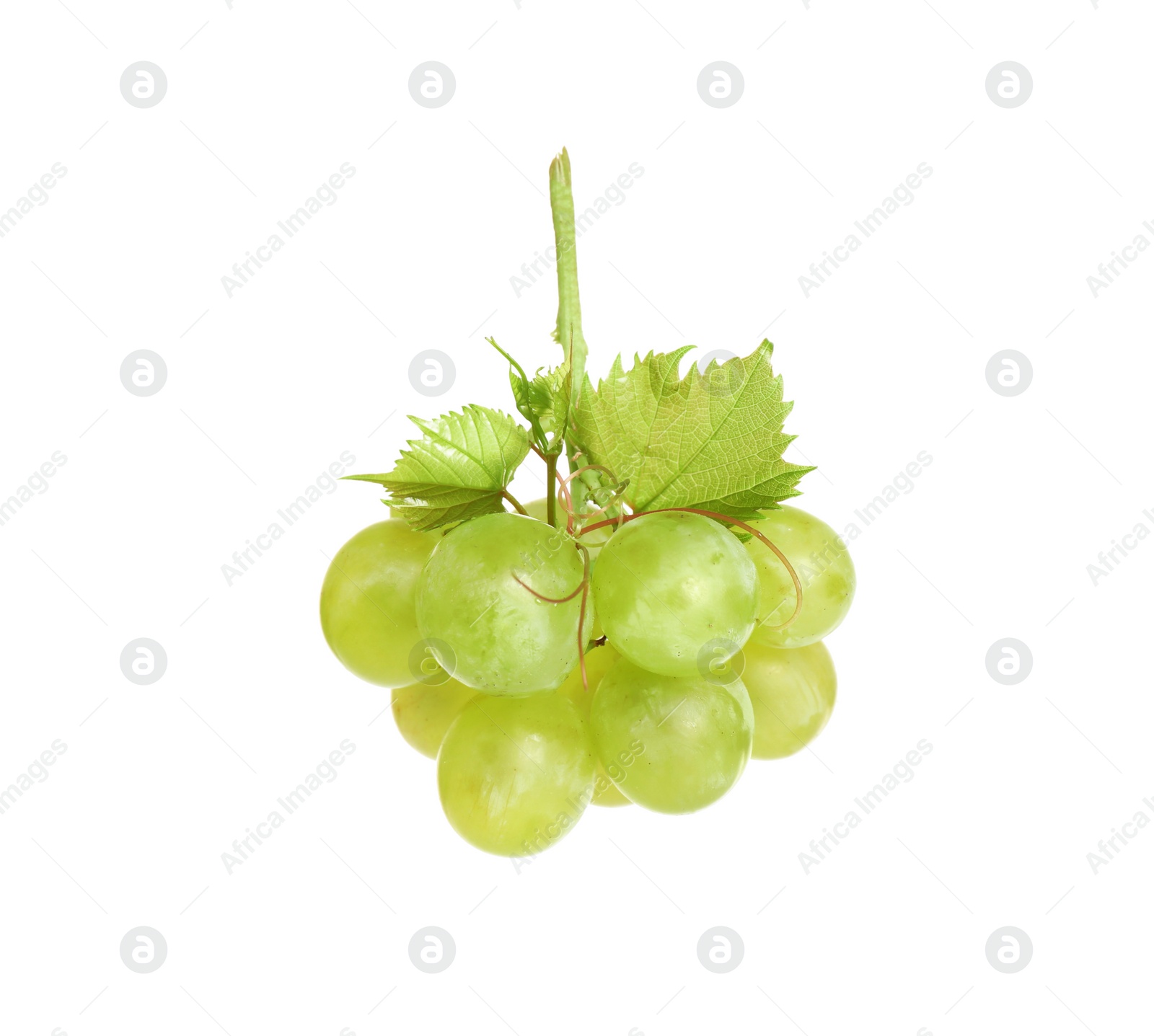 Photo of Bunch of fresh ripe juicy grapes isolated on white