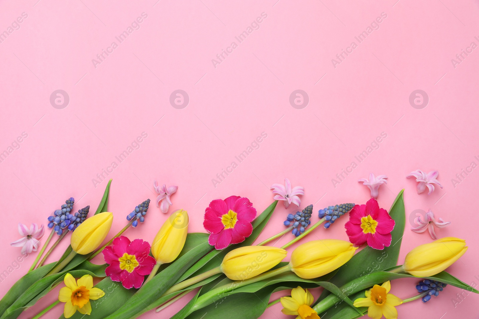 Photo of Beautiful different flowers on pink background, flat lay. Space for text