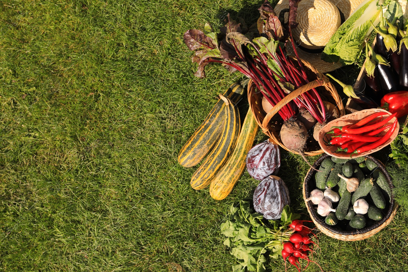 Photo of Different fresh ripe vegetables on green grass, flat lay. Space for text